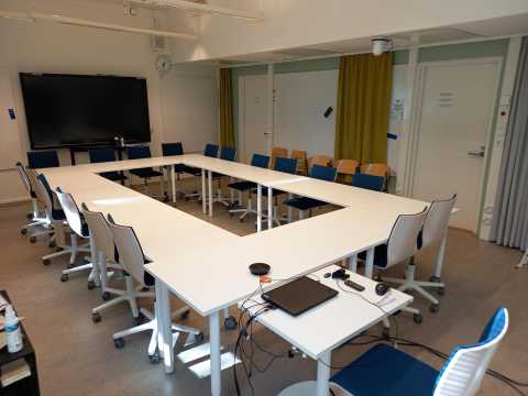 C324 Humina etuosa