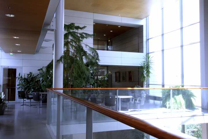 Picture of the 3rd floor lobby, B-wing